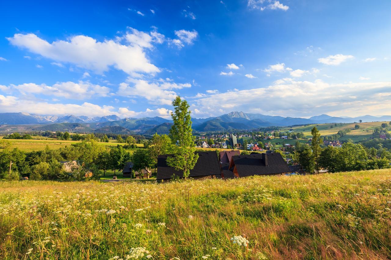 Domki Tatrzanski Ogrod Regional Houses Zakopane Eksteriør bilde