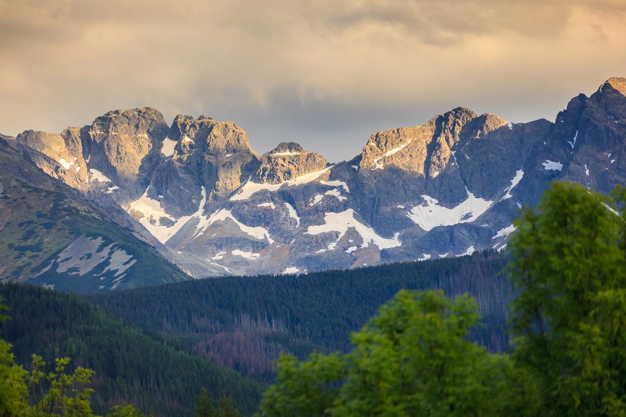 Domki Tatrzanski Ogrod Regional Houses Zakopane Eksteriør bilde