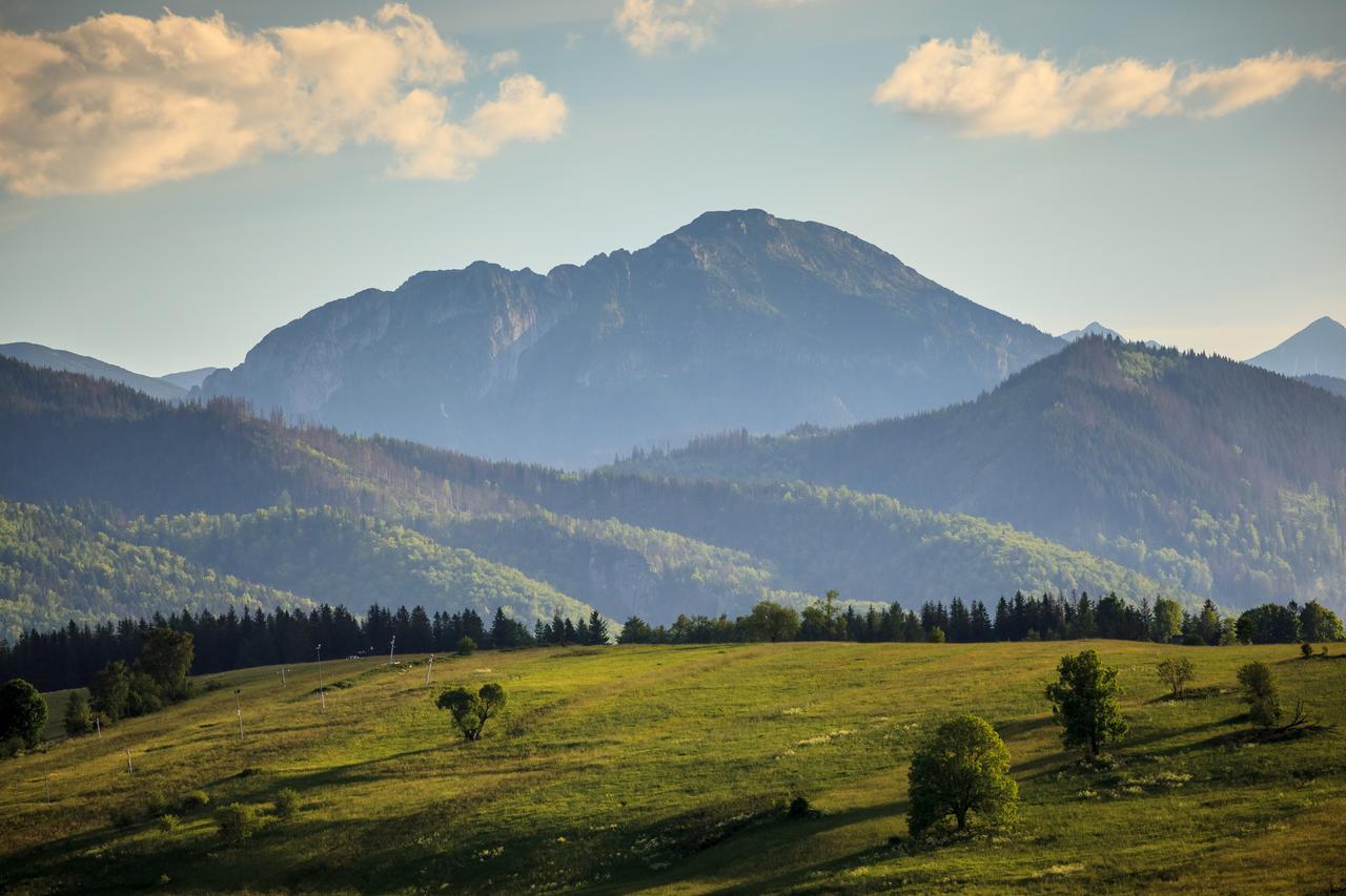 Domki Tatrzanski Ogrod Regional Houses Zakopane Eksteriør bilde